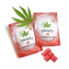 Hempfy Hanf Kaugummis - Goji-Ingwer